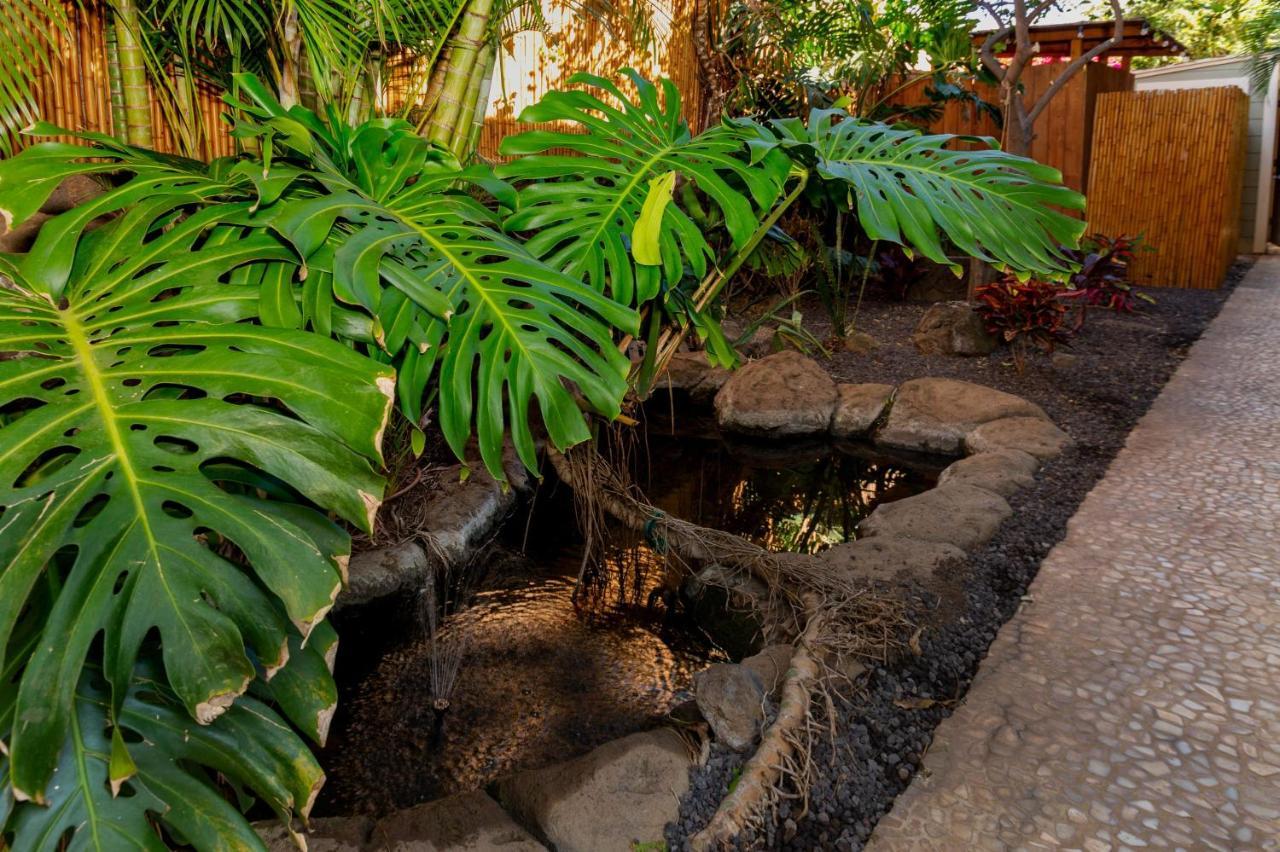 Studio With Mini Kitchen, Pool And Bbq, Pre-Renovation Summer Sale Kihei Exterior foto
